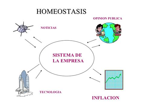 lopezmalvaez62820161: homeostasis