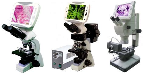 Los 5 mejores microscopios digitales baratos USB 2018 ...
