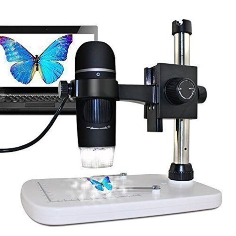 Los 5 Mejores Microscopios Digitales Portátiles USB del ...