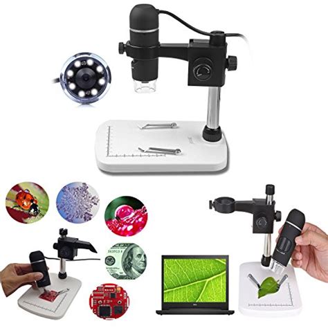 Los 5 Mejores Microscopios Digitales Portátiles USB ...