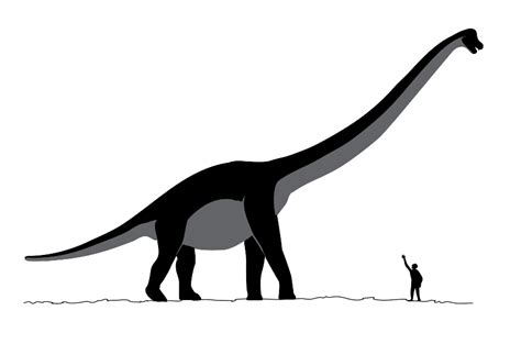 Los 6 dinosaurios más largos.   Ciencia y Educación   Taringa!