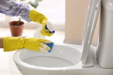 Los 6 mejores productos para limpiar cada rincón de tu baño y dejarlo ...