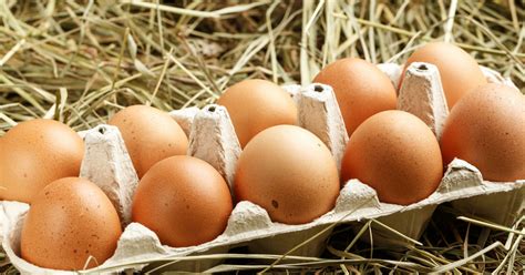 Los 6 tipos de huevos  características y beneficios