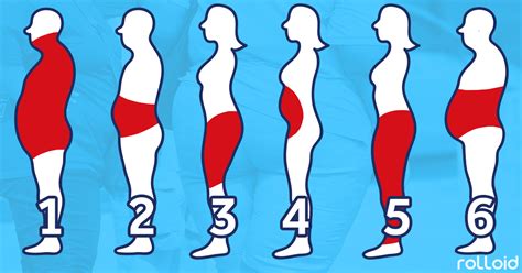 Los 6 Tipos de Obesidad que existen y los mejores trucos ...