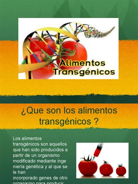 Los Alimentos Transgenicos | Organismo genéticamente modificado ...
