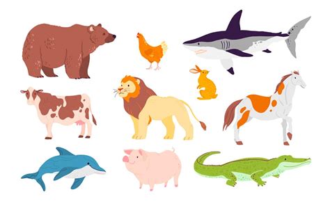 Los animales carnívoros, herbívoros y omnívoros explicados para los ...