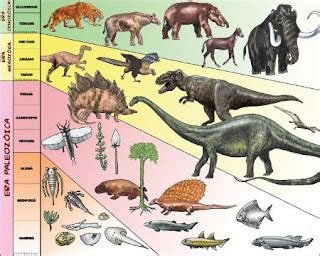 Los animales de la edad prehistórica: Clasificación de los ...