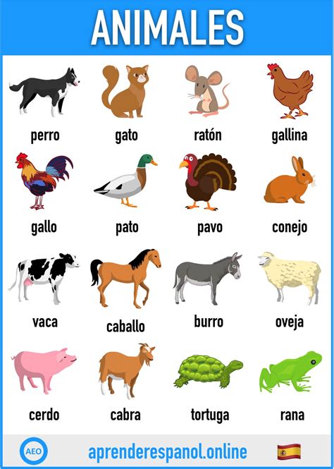 Los animales en español, vocabulario y ejercicios ...