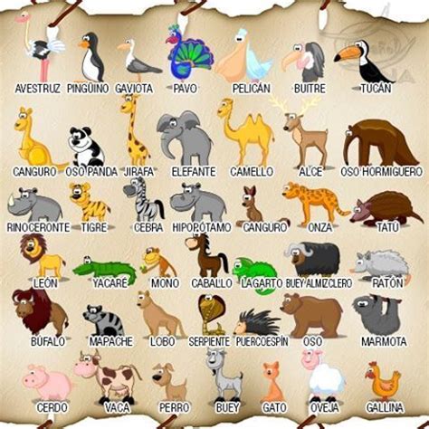 Los animales  ficha de vocabulario  | ANIMALES | Pinterest ...