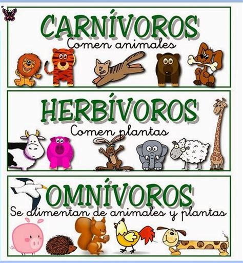 LOS ANIMALES GRADO. 4: ANIMALES CARNÍVOROS, HERBÍVOROS, Y ...