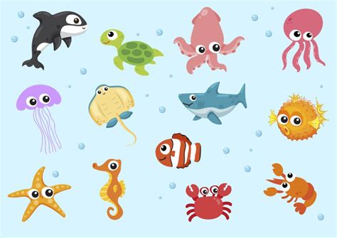Los animales marinos en inglés para niños   Number 16 School