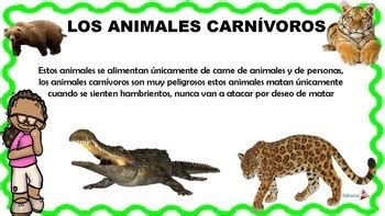 Los Animales para Niños  Animales Terrestres y Acuáticos ...