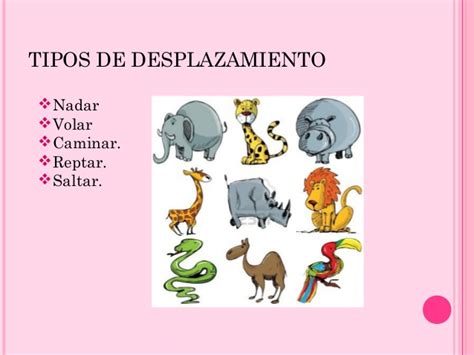 LOS ANIMALES SEGUN SU DESPLAZAMIENTO PARA PRIMARIA   Búsqueda de Google ...