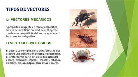 LOS ARTRÓPODOS COMO HUÉSPEDES Y TRANSMISORES BIOLÓGICOS DE ...