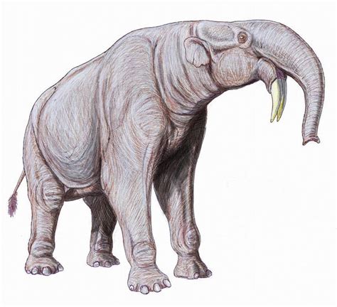 Los asombrosos elefantes perdidos | Animales prehistóricos ...