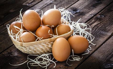 Los beneficios del huevo | Alimentación | MujerConSalud.com