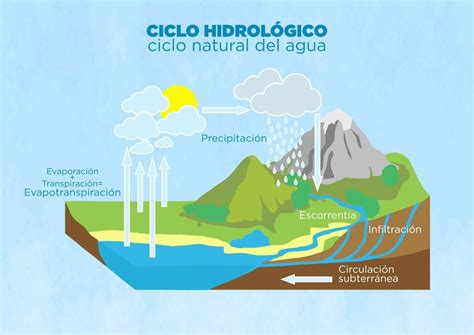 Los ciclos del agua | Diputación Provincial de Soria