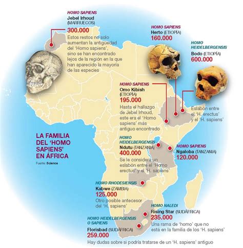 Los científicos siguen ahondando en el origen africano del ...