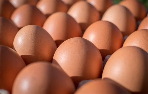 ¿Los colores de la cáscara del huevo tienen algún significado? – ineh ...