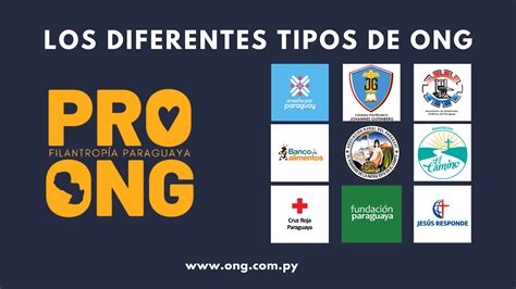 Los diferentes tipos de ONG en Paraguay   PRO ONG