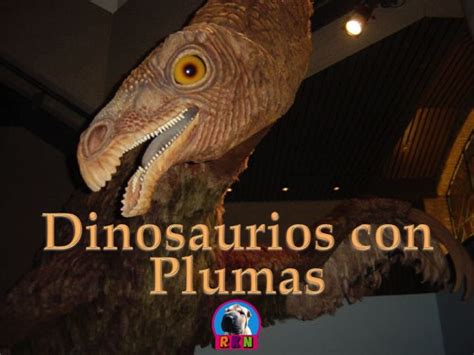 Los Dinosaurios con Plumas: Presentación en PowerPoint | Feathered ...