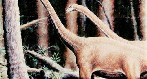 : Los dinosaurios de cuello largo no eran tan flexibles como se creía ...