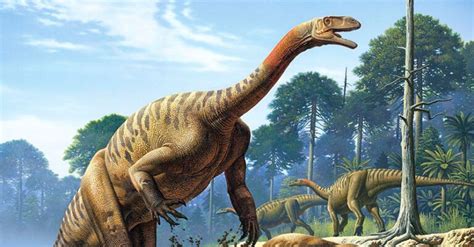 Los dinosaurios del período Triásico y otros reptiles ...