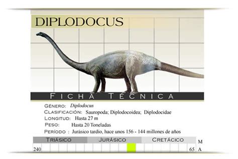 Los Dinosaurios: DIPLODOCUS