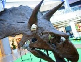 Los dinosaurios invaden el Centro Comercial La Gavía en ...
