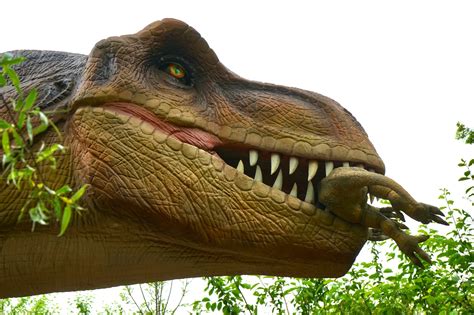 Los dinosaurios llegan a Aguascalientes   Líder Empresarial