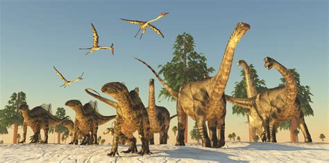 Los dinosaurios luchaban por sobrevivir mucho antes del ...