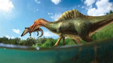Los dinosaurios más conocidos de la pre historia ...