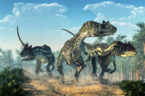Los dinosaurios más famosos de la prehistoria   Arqueópterix
