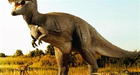 Los dinosaurios no fueron reptiles ni mamíferos, afirma ...