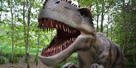 Los dinosaurios no sobrevivirían en el hábitat actual | Chispa
