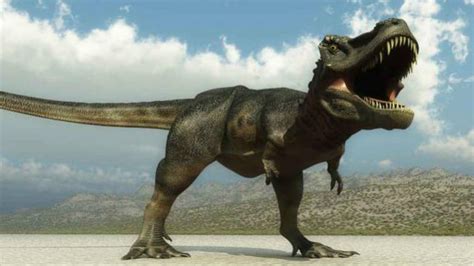 Los dinosaurios surgieron 20 millones de años antes de lo ...