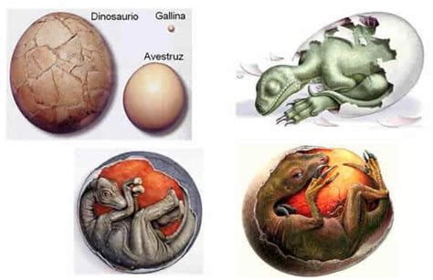 Los Dinosaurios terrestres
