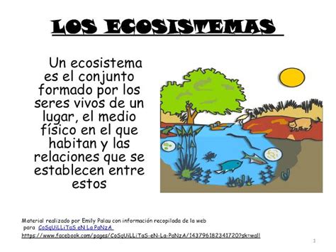 LOS ECOSISTEMAS   CON ACTIVIDADES   | Proyectos de ...