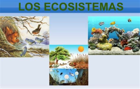 Los ecosistemas: interrelaciones y cambios | Pearltrees