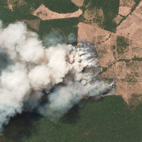 Los efectos del incendio de la Amazonía en Colombia