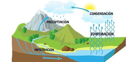 los El ciclo del agua   La fisica y quimica