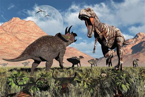 Los fósiles de un T Rex y un Triceratops en plena batalla ...