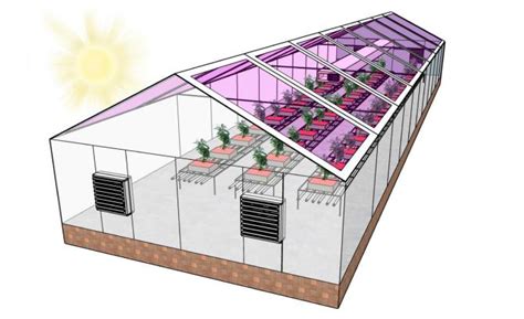 Los futuros invernaderos estarán completamente alimentados por energía ...