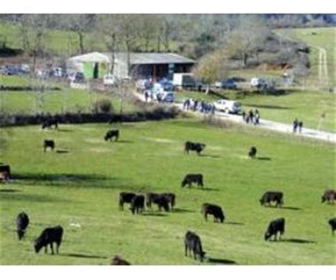 Los ganaderos de La Rioja podrán solicitar sus guías de ...