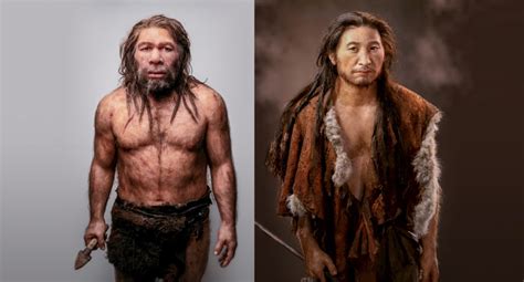 Los Homo Sapiens desplazaron en 100 mil años a los ...