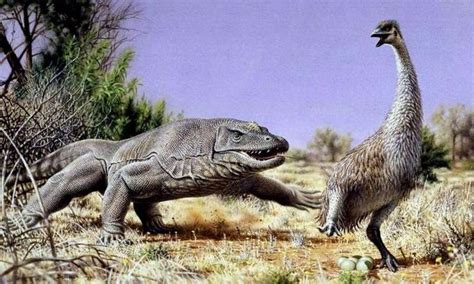 Los humanos contribuyeron a la extinción de la megafauna australiana
