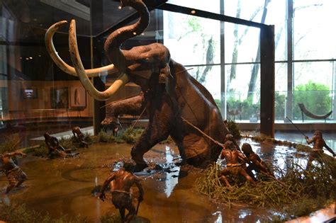 Los mamuts y la importancia de la prehistoria en México. | Rostros de ...