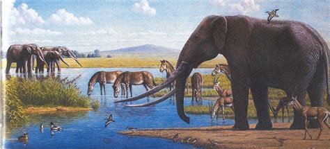 Los mastodontes fueron muy abundantes en la Península Ibérica