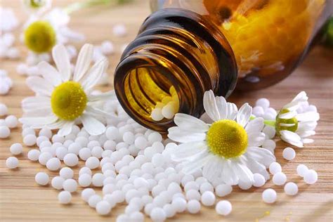 Los Medicamentos Homeopáticos   Naturísima