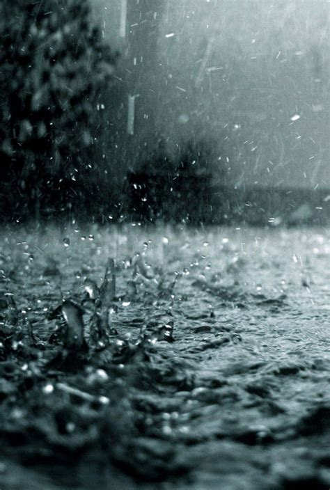 Los Mejores Fondos de Pantalla de Lluvia en 2020 | Me encanta la lluvia ...